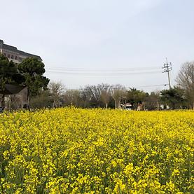 전주대학교 꽃동산